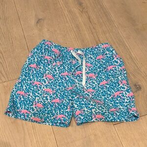Blue and pink flamingo boys chubbies swim shorts